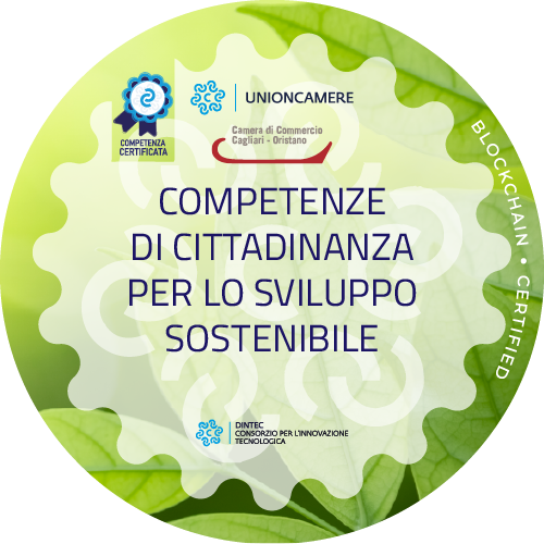 Badge pubblico 70314